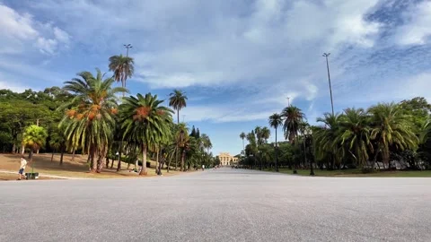 Palm Tree Boulevard Leading to Museu Paulista, Parque da Independência Stock Footage 334943136