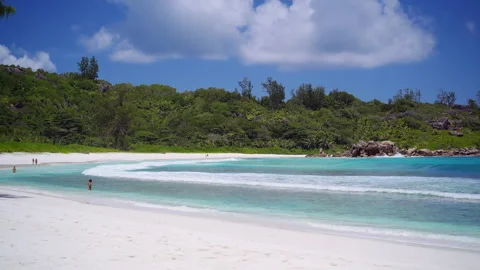 Palm tree branch over tropical sandy beach and sparkling ocean water Stock Footage 341466120