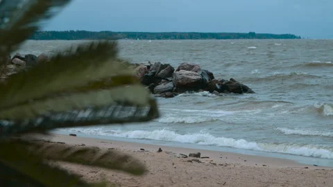 A palm tree branch sways in the wind on the seashore on a windy and cloudy day Vídeos de archivo 289734425