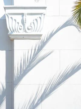 Palm tree branches cast a shadow on a white wall, column and masonry, Stock Photos