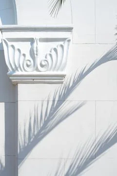 Palm tree branches cast a shadow on a white wall, column and masonry, Foto stock