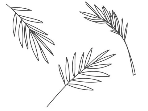 Palm tree branches for Holy Week. Stock Illustration