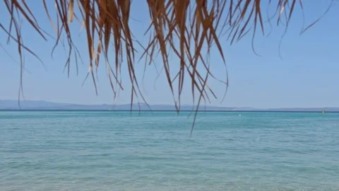 Palm Tree Branches Overhanging Calm Blue Ocean Waters Stock Footage 342221905