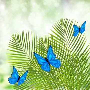 Palm tree with butterflies 스톡 일러스트