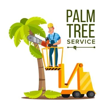 Palm Tree Care Vector. Trimming Tree Or Removal To Tree Pruning. Isolated On Ilustración de archivo