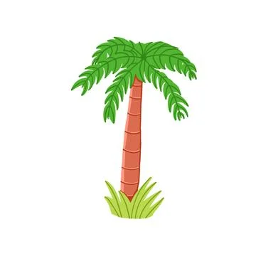 Palm tree in cartoon flat style Stock Illustration
