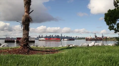 Palm Tree City Stock Footage 8631500