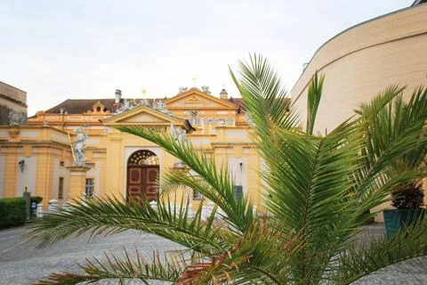 Palm Tree Close Up with Blurry Stift Melk Abbey Stock Photos