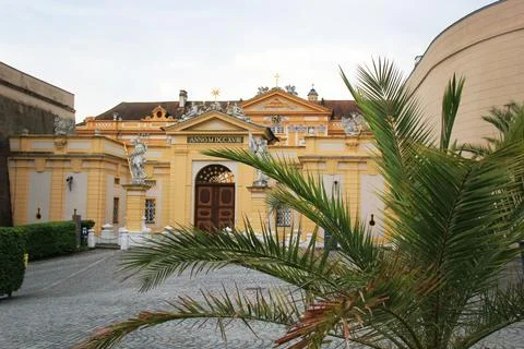 Palm Tree Close Up in Stift Melk, Austria Stock-Fotos