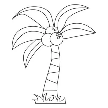Palm tree with coconut contour Stock Illustration