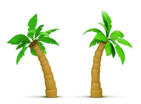 Palm tree with coconut. Realistic 3d vector Stock Illustration