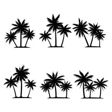 Palm tree coconut silhouette element set collection Stock Illustration