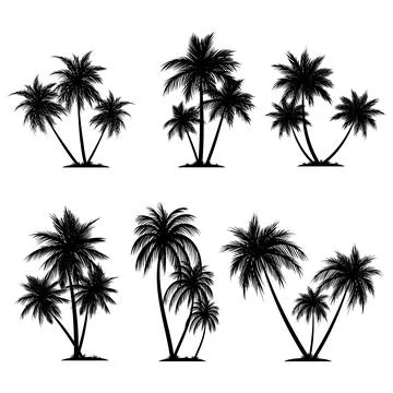 Palm tree coconut silhouette element set collection Stock Illustration