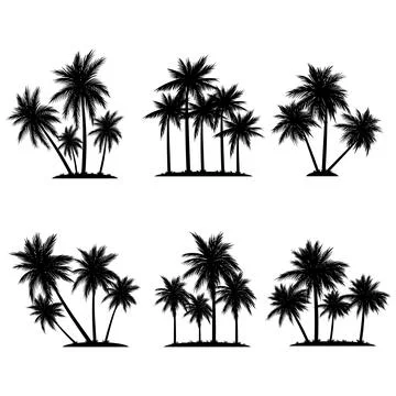 Palm tree coconut silhouette element set collection Stock Illustration
