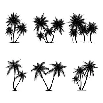 Palm tree coconut silhouette element set collection Stock Illustration
