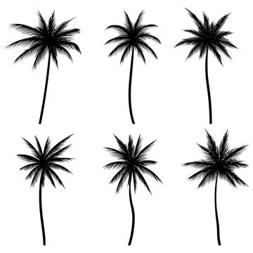 Palm tree coconut silhouette set collection Stock Illustration