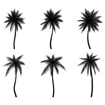 Palm tree coconut silhouette set collection Stock Illustration