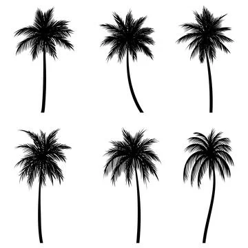 Palm tree coconut silhouette set collection Stock Illustration