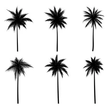 Palm tree coconut silhouette set collection Stock Illustration