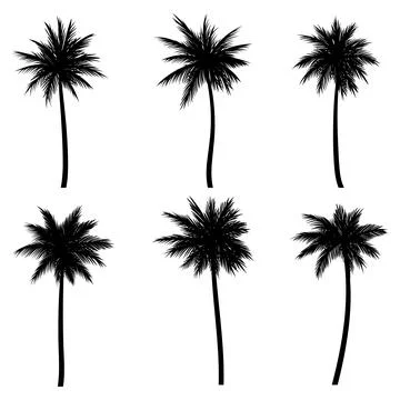Palm tree coconut silhouette set collection Stock Illustration