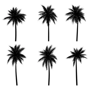 Palm tree coconut silhouette set collection Stock Illustration