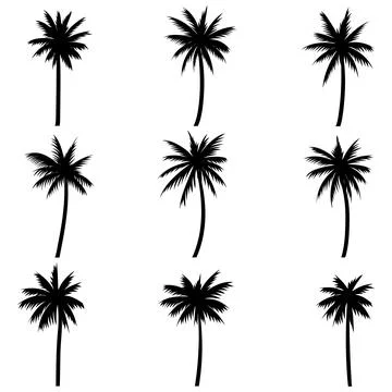 Palm tree coconut silhouette set collection Stock Illustration