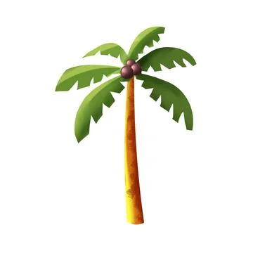 Palm tree with coconuts isolated on white background. Stock Illustration