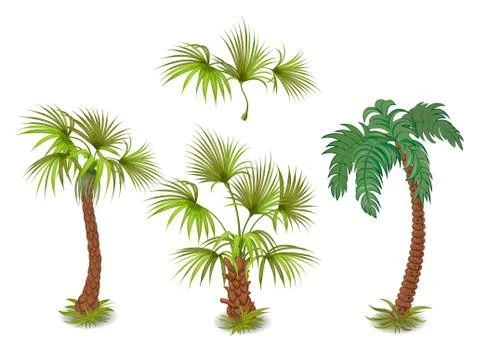 Palm tree collection Stock Illustration