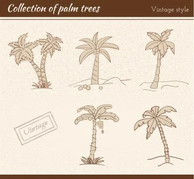 Palm Tree Collection Stock Illustration