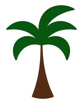 Palm tree. Color vector illustration. Cartoon style. Stock Illustration