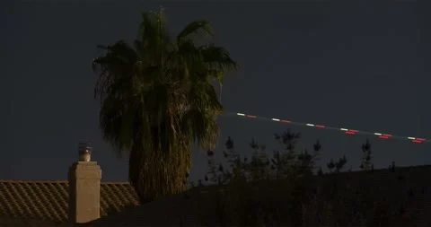 Palm tree confined within a wild night sky with streaking airplanes. Stock Footage 316274787