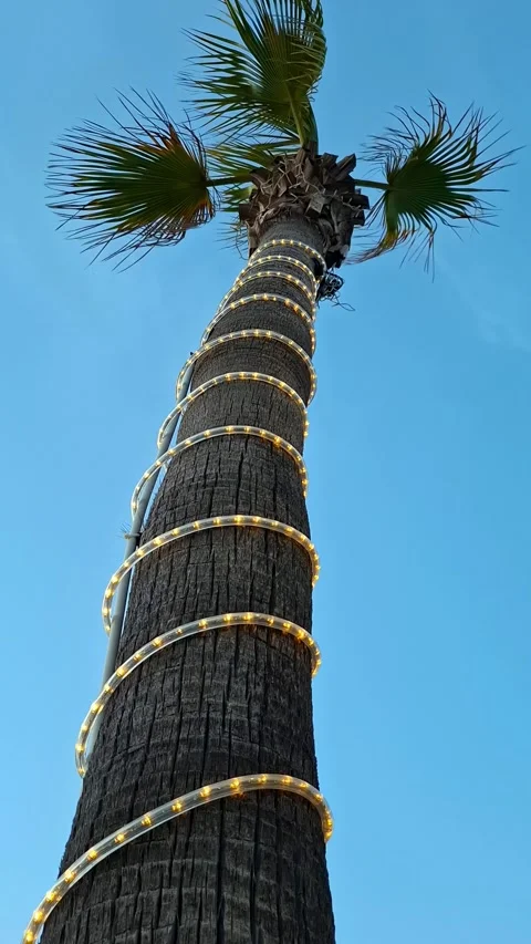 A palm tree decorated with a light strip against the sky 스톡 동영상 337344383