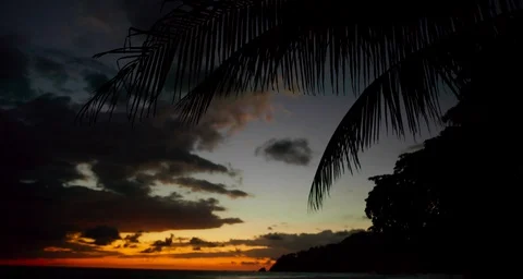 Palm Tree With Deep Red Sunset On the Beach 4K Slow Motion Cinimatic Video Stock Footage 124103361
