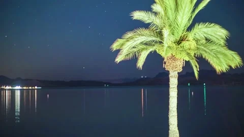 Palm tree desert lake time lapse at night - Lake Havasu - 4k Stock Footage 202198952