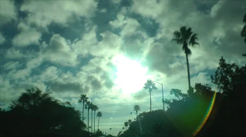 Palm tree drive by Stock Footage 29656225