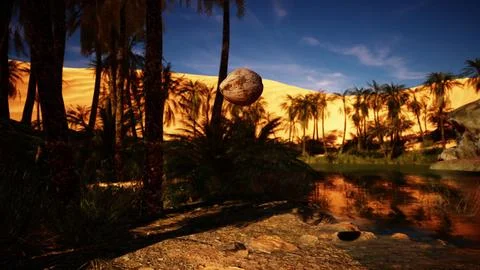 Palm Tree with Falling Coconuts onto the Sand Illustrazione stock