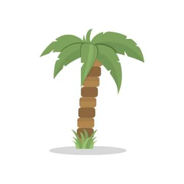 Palm tree in flat style isolated on a white Stock Illustration