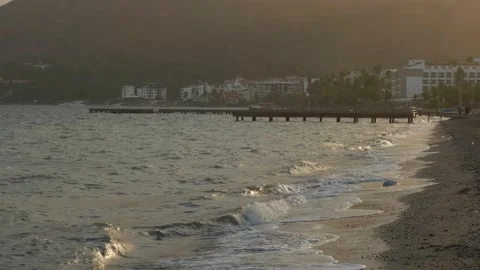 Palm tree Stock Footage 226934001