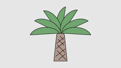 Palm tree Stock Footage 335512337