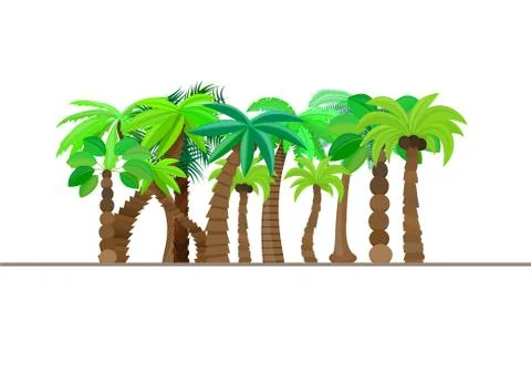 Palm tree, forest, jungle isolated in caricature style, set on a white Illustrazione stock