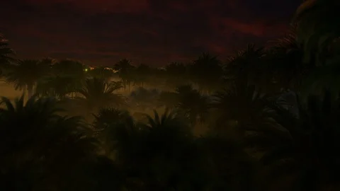 Palm tree forest with stormy clouds gathered on top 4K 動画素材 105806982