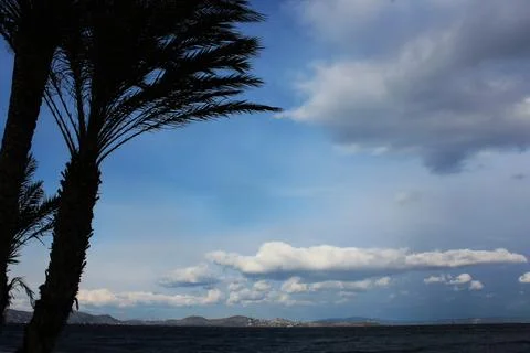 Palm tree in a frame Stock Photos