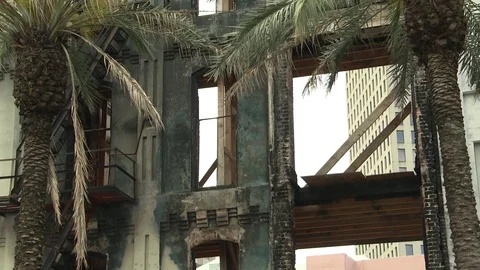 Palm tree in front of abandoned building Stock Footage 84508576