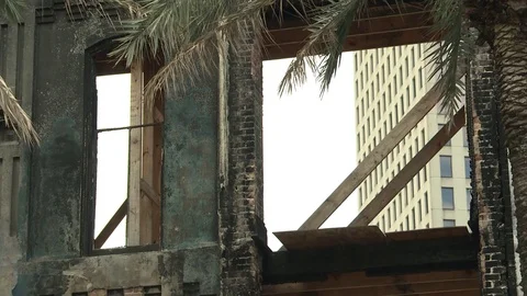 Palm tree in front of abandoned building Stock Footage 84508589