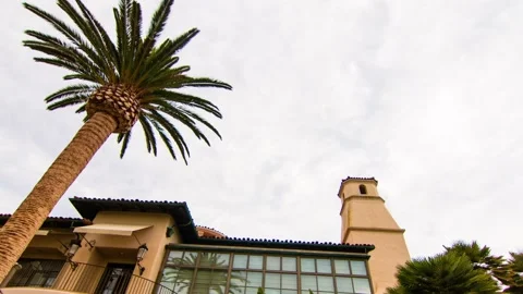A palm tree in front of a building Stock Footage 155584325
