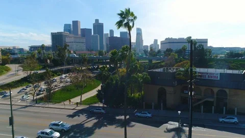 Palm tree in front of the cityscape of Los Angeles. Aerial shot. camera movin Vidéo 87537883