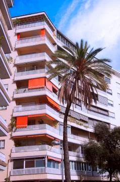 Palm tree in front of high building Stock Photos
