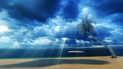 Palm tree with God Rays over Stock Footage 143393040