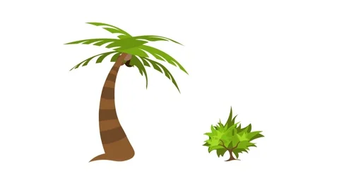 Palm Tree, Growing trees on a white background 4K Matte. 스톡 동영상 280548226