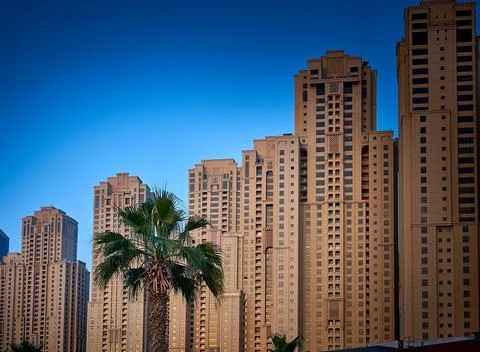 A palm tree grows against the backdrop of skyscrapers in the arab emirates Stock Photos